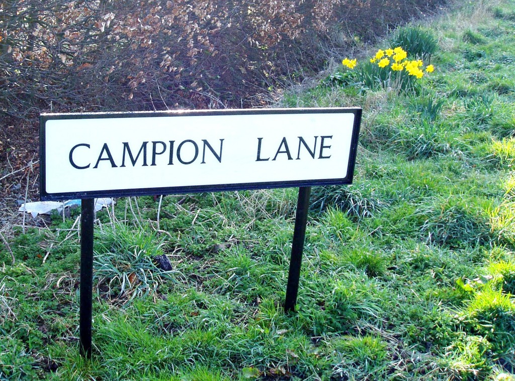 Street Nameplate Image